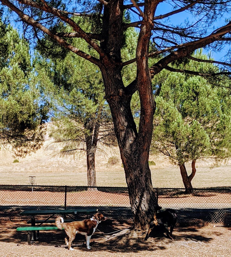 Lagoon Park Dog Park photo 3