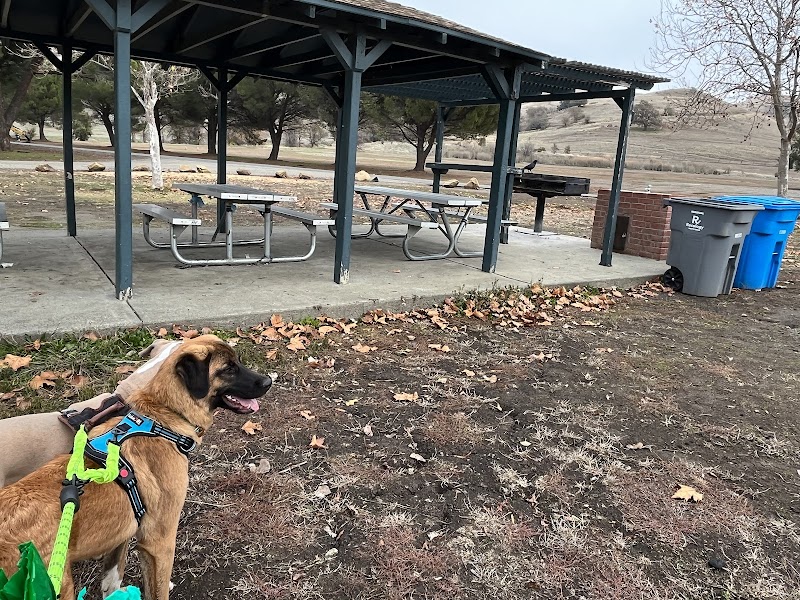 Lagoon Park Dog Park photo 5