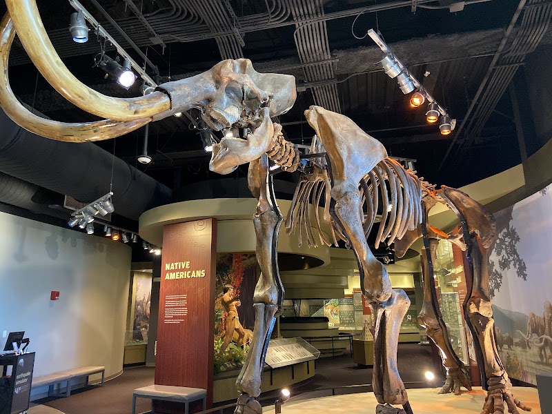 Discovery Park of America photo 3