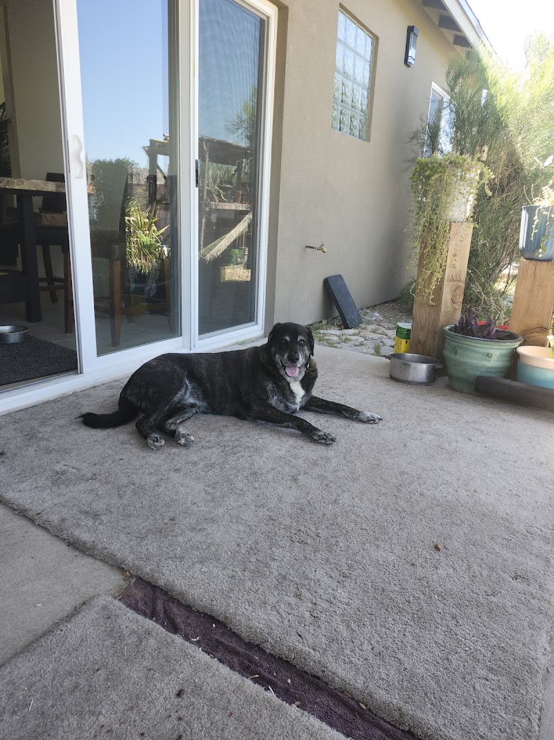 Rex Veterinary Services photo 2