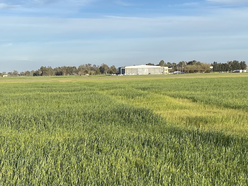 Yolo County Airport photo 3