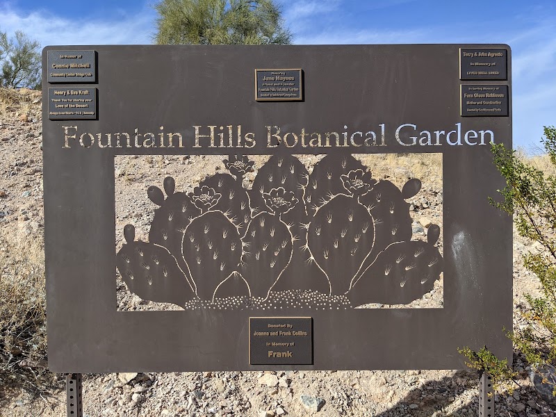 Fountain Hills Desert Botanical Garden photo 3