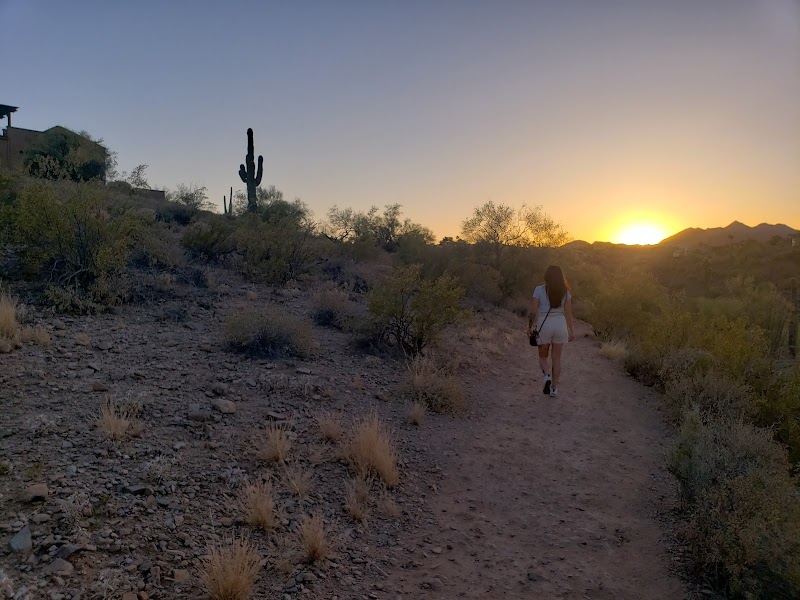 Fountain Hills Desert Botanical Garden photo 5