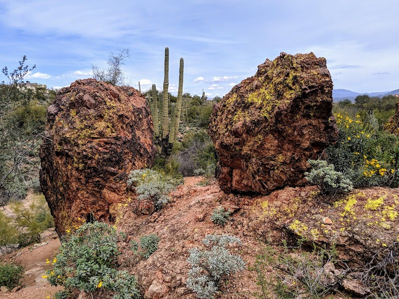 Fountain Hills Desert Botanical Garden photo 2