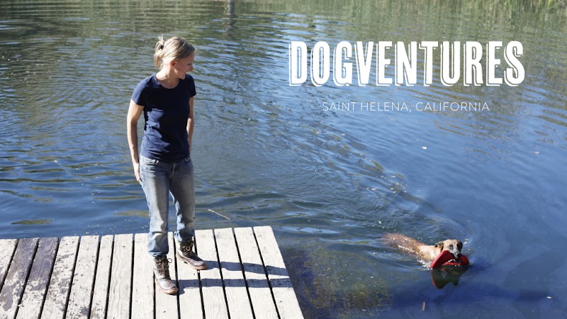 Photo of DOGVENTURES
