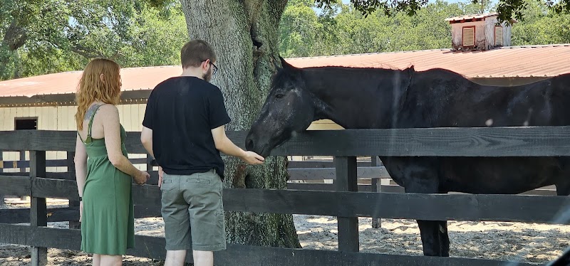 Photo of Lone Palm Ranch Florida