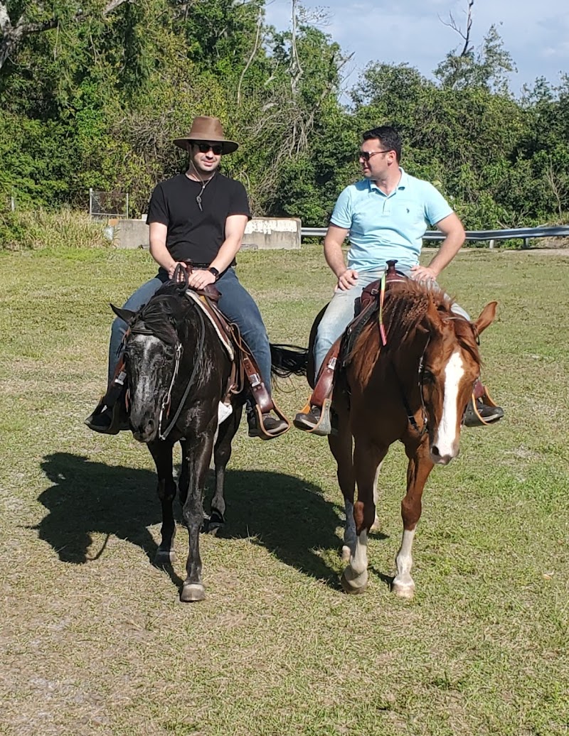 Lone Palm Ranch Florida photo 3