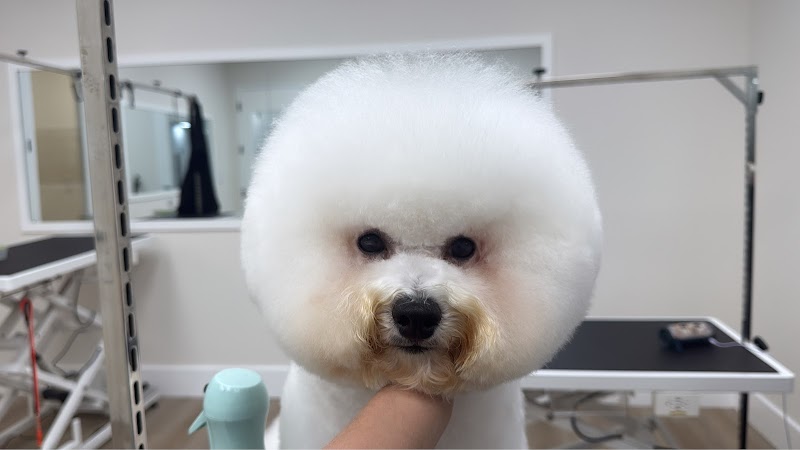 Photo of Quality Pet Spot Campbell