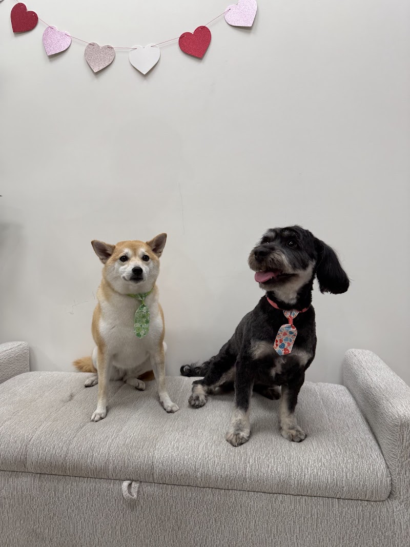Quality Pet Spot Campbell photo 4