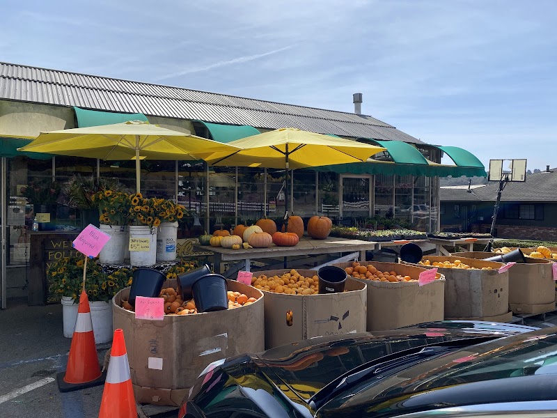 Photo of Repetto's Florists