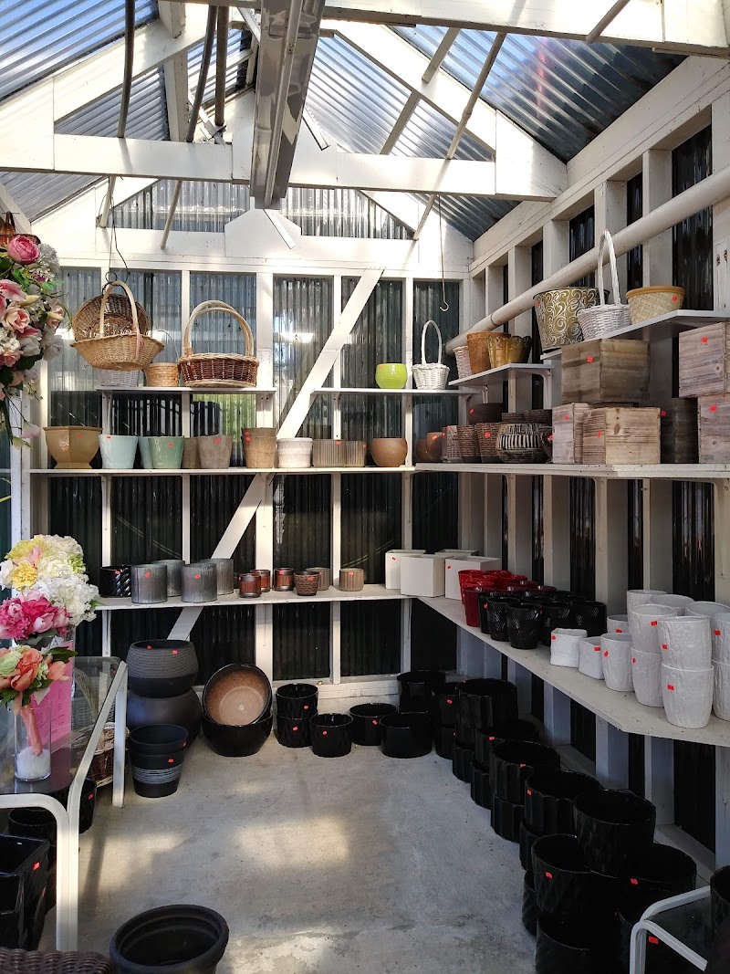 Repetto's Florists photo 2