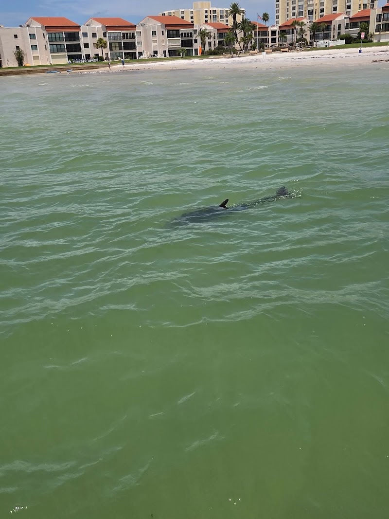 Florida Local Charters photo 2