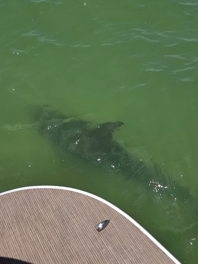 Photo of Florida Local Charters