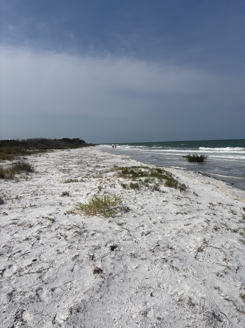 Florida Local Charters photo 3