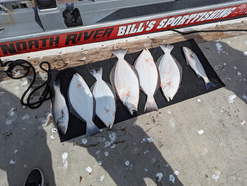 Bill's Sportfishing and Guide Service photo 3