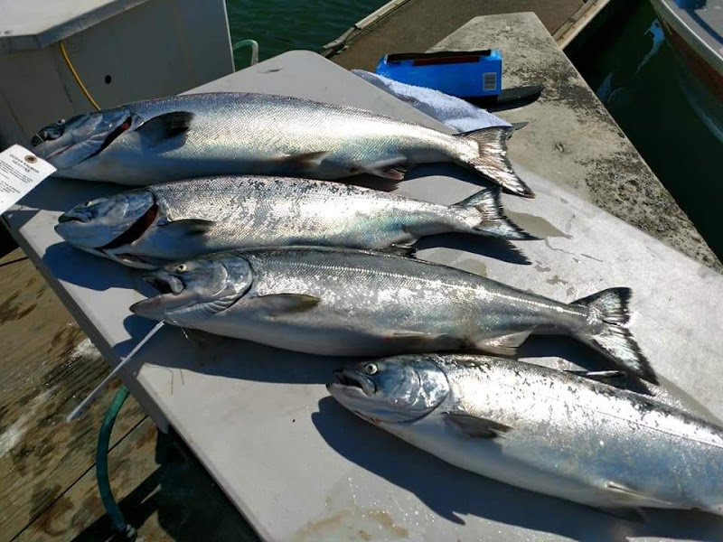 Bill's Sportfishing and Guide Service photo 5