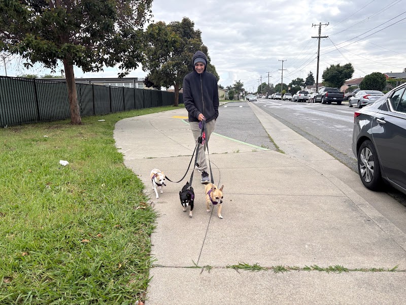 JT's Pet Care photo 4