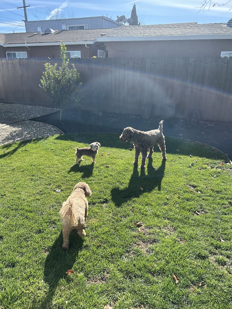 JT's Pet Care photo 5