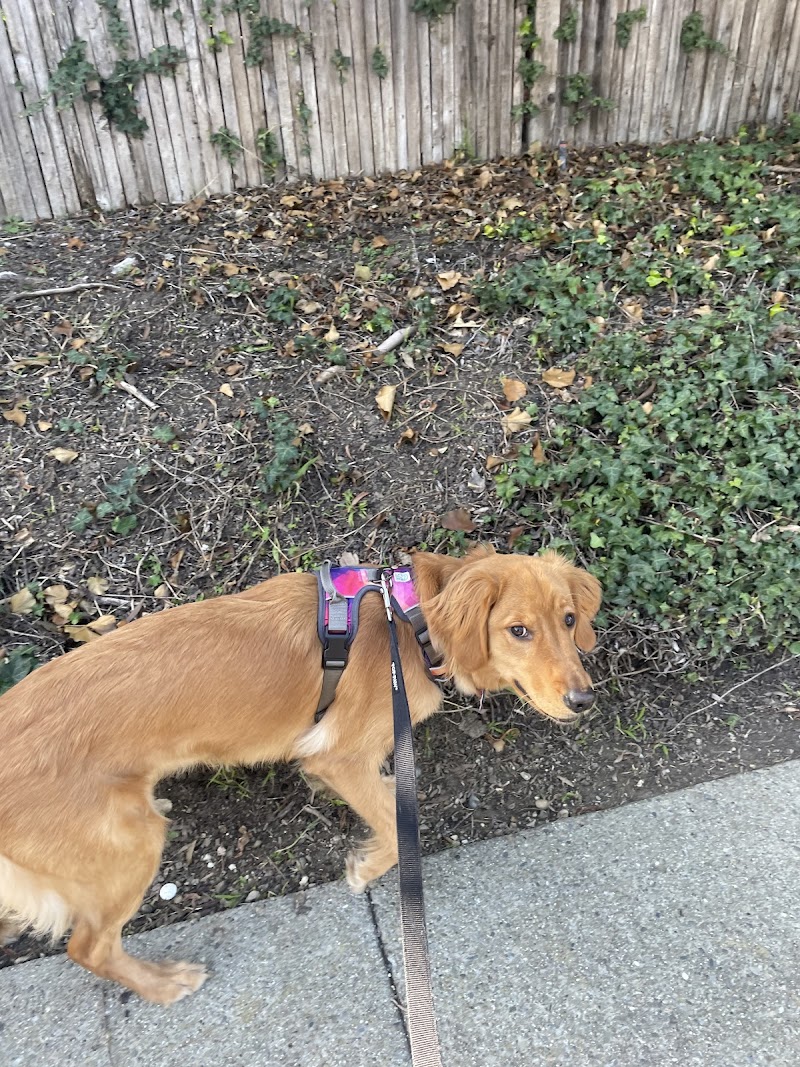 JT's Pet Care photo 3