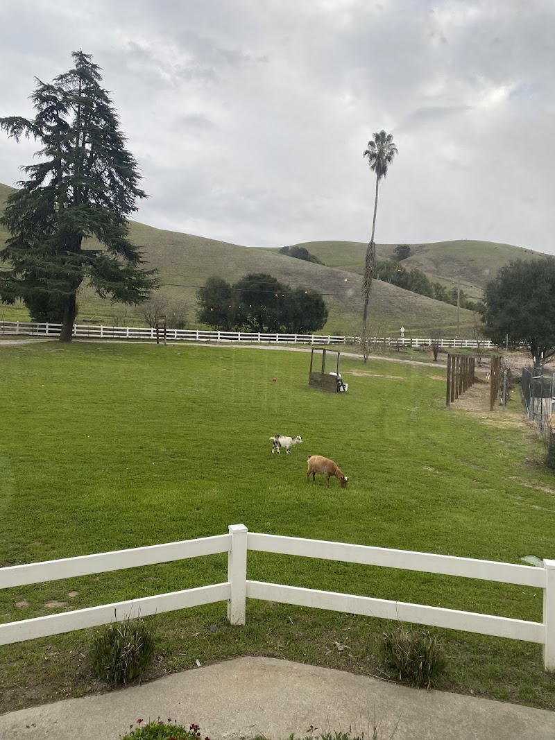 Heirloom East Bay photo 3