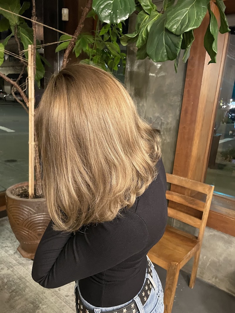 Susana at Social Hair Co. photo 3