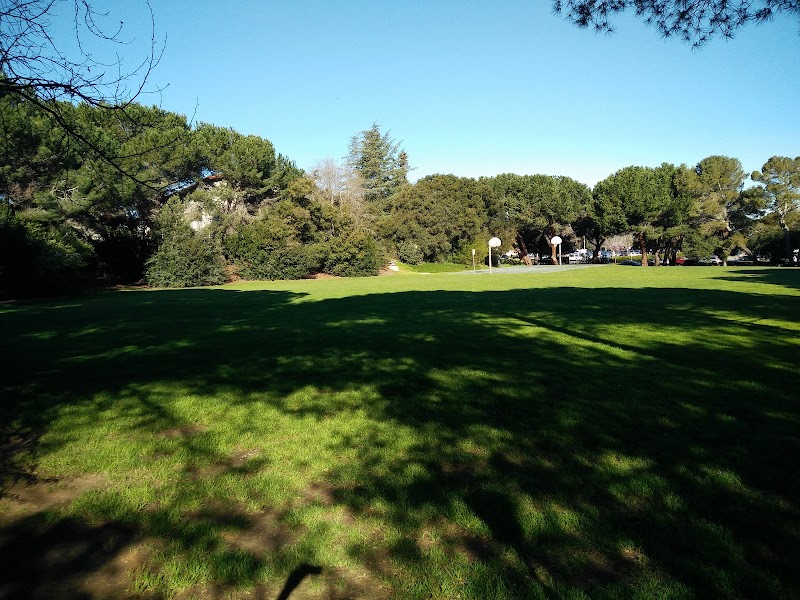 Photo of Levin Field, Stanford