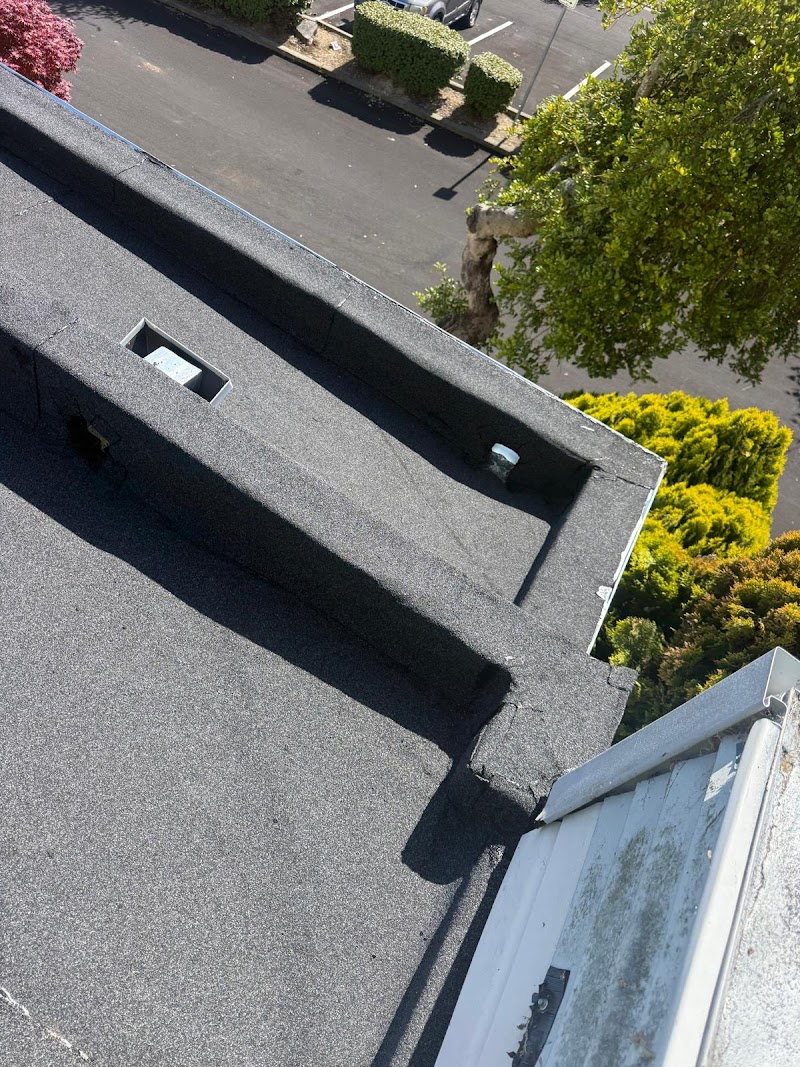 Marina Bay Roofing photo 3