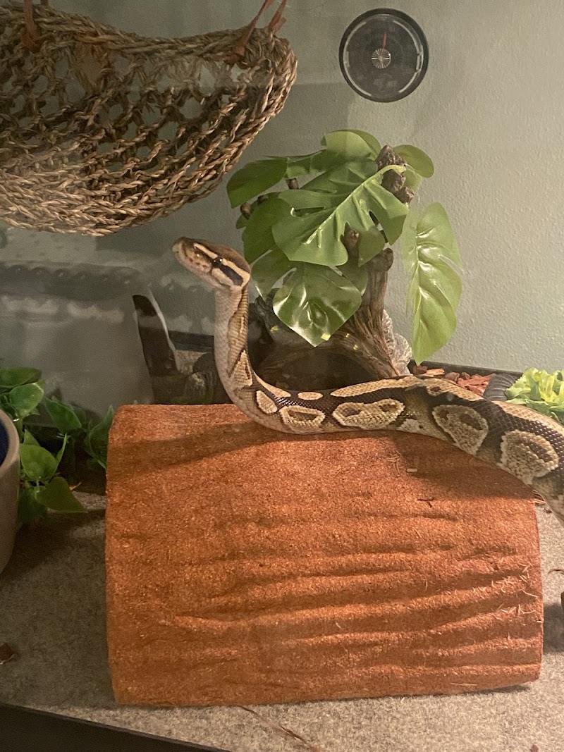 Foster's Exotic Pets photo 5