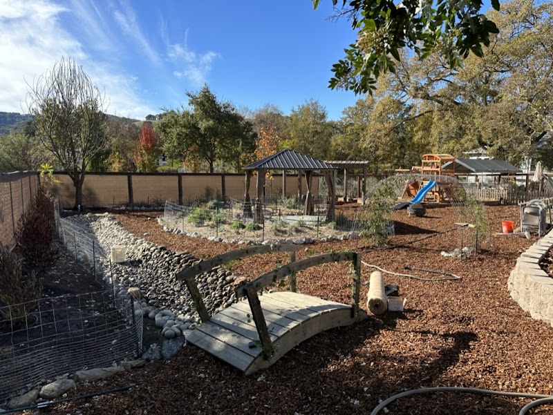 Song Sparrow Playgarden photo 2