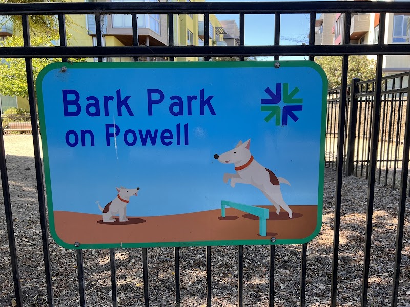 Dog park photo 4
