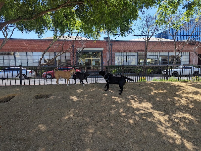 Dog park photo 3