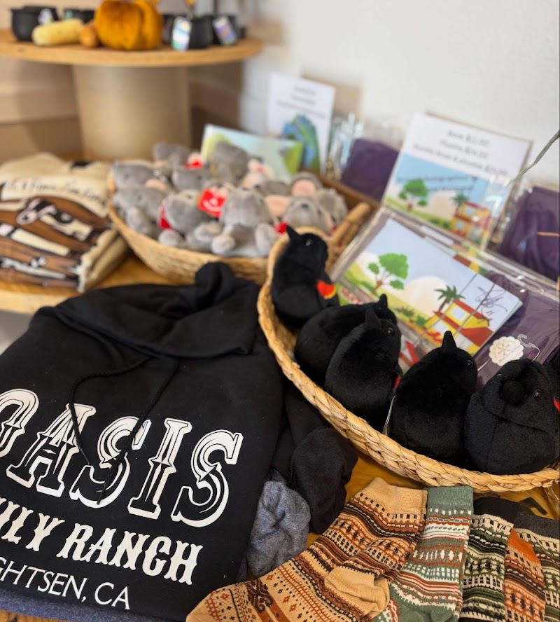 Oasis Family Farmhouse photo 5