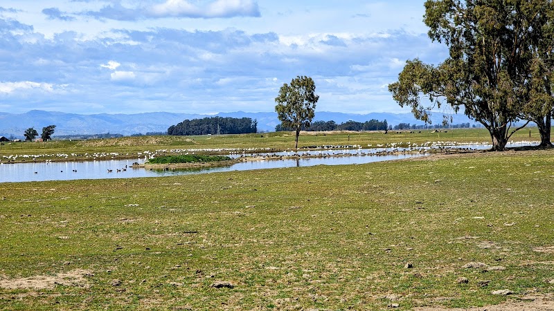 Photo of PreetiRang Sanctuary