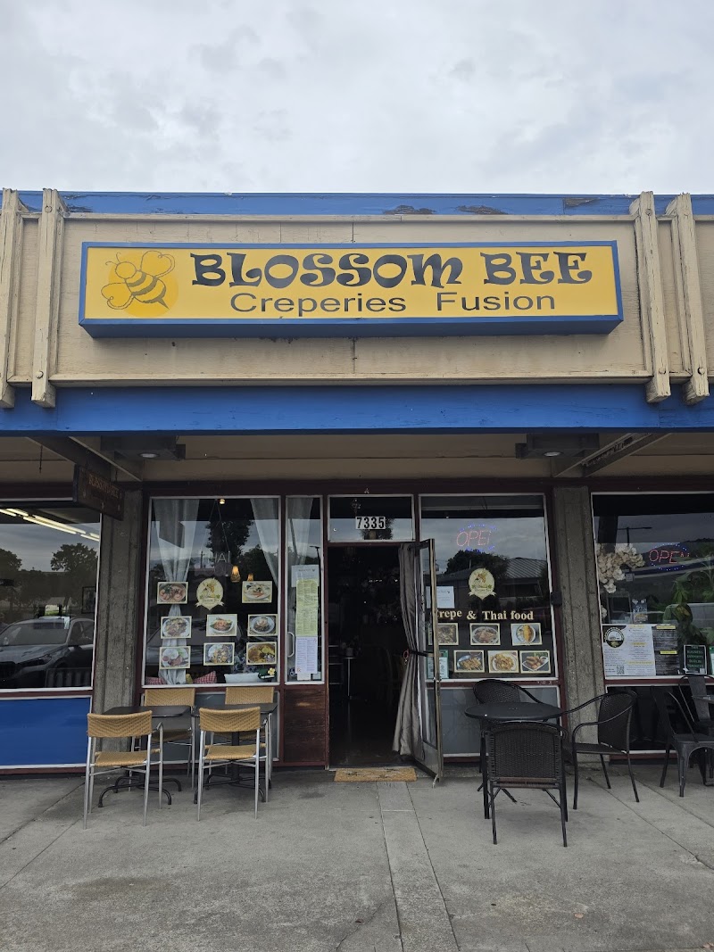 Photo of Blossom Bee