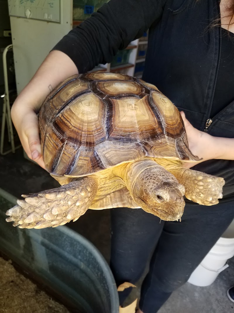 Herp Hobby Shop Reptile Breeding Center photo 4