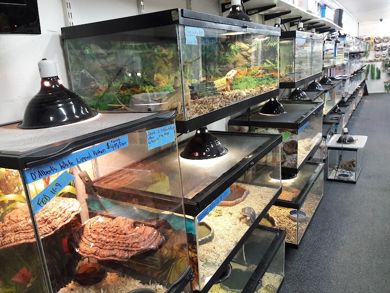 Herp Hobby Shop Reptile Breeding Center photo 2