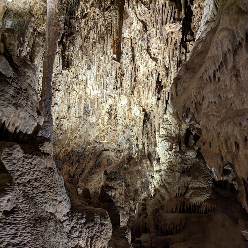 Colossal Cave Mountain Park photo 2