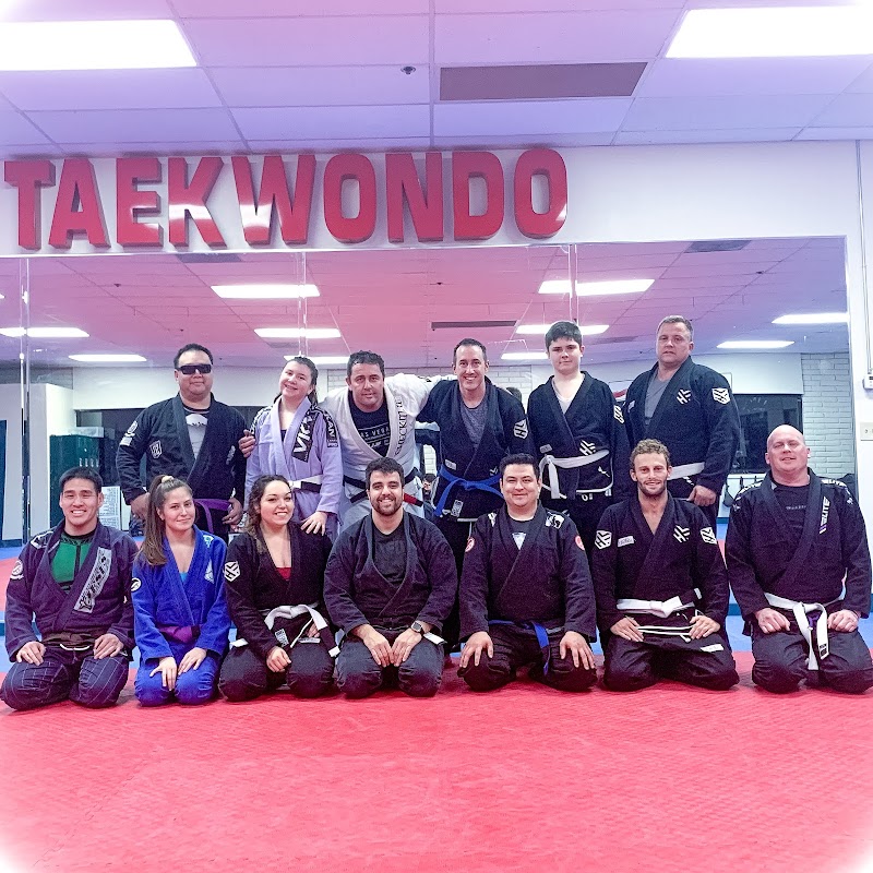 Prisma Brazilian Jiu-Jitsu by Leandro Vieira photo 3