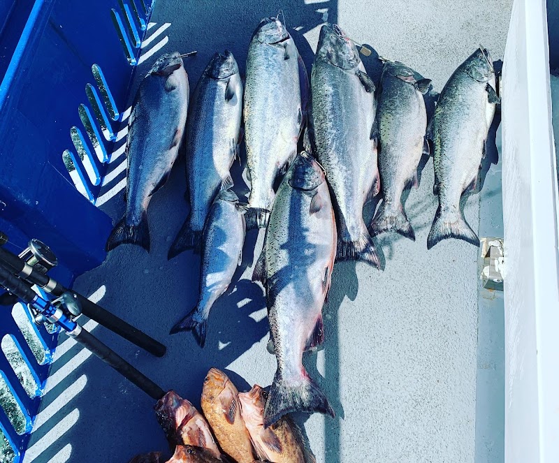 New Captain Pete Sport Fishing photo 4