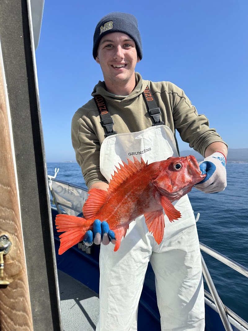 New Captain Pete Sport Fishing photo 5