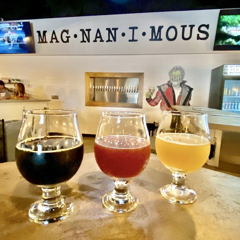 Photo of Magnanimous Brewing Tampa Heights