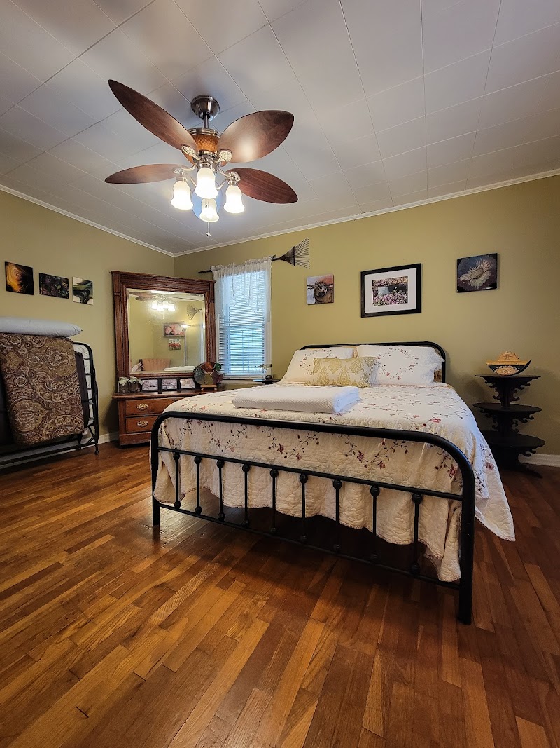 Stillwaters Farm, a Farmstay--and more! photo 2
