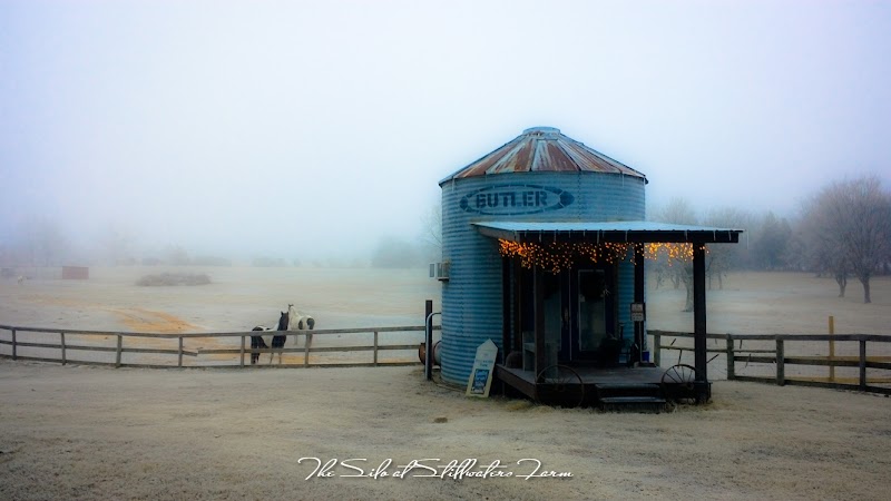 Photo of Stillwaters Farm, a Farmstay--and more!