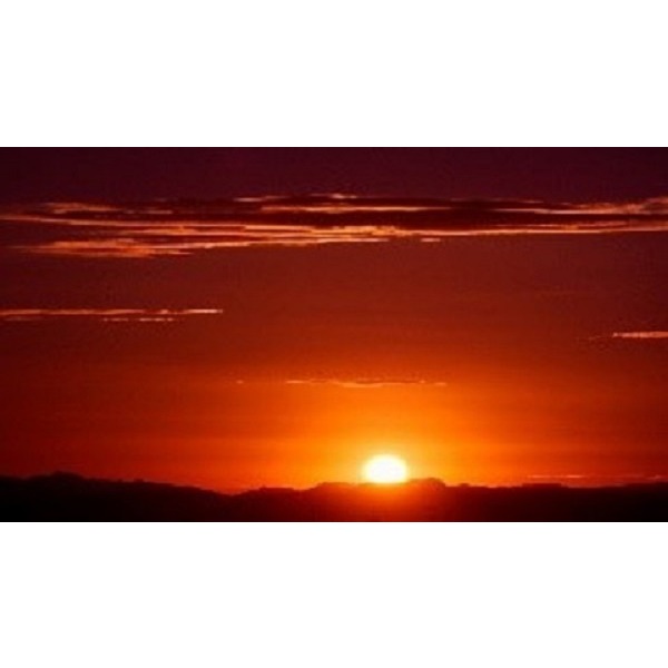 Desert Sun Tax & Bookkeeping photo 2