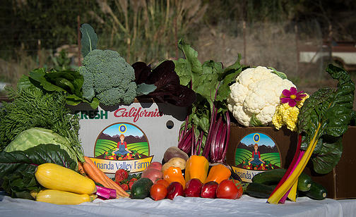 Ananda Valley Farm photo 5