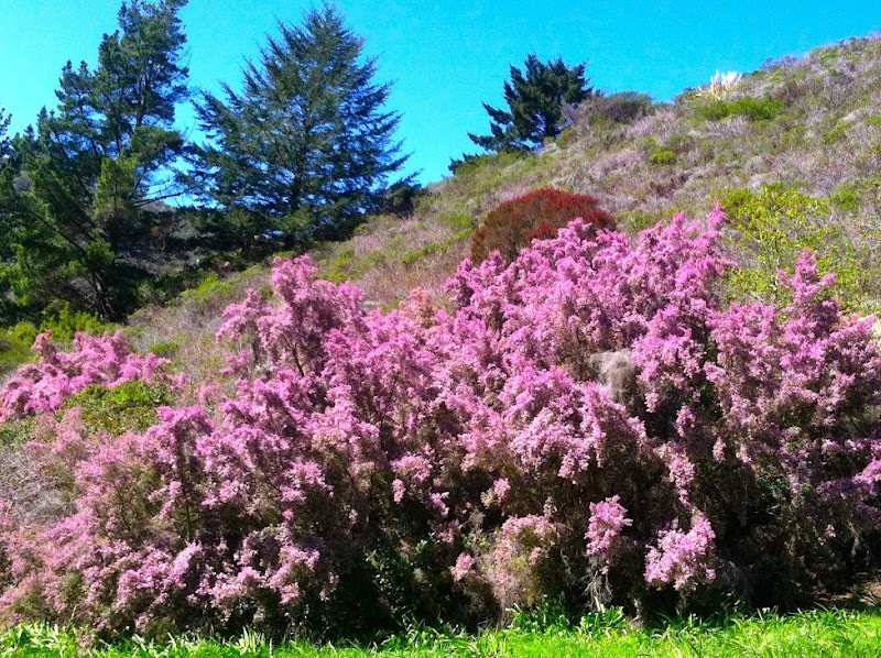 Ananda Valley Farm photo 4
