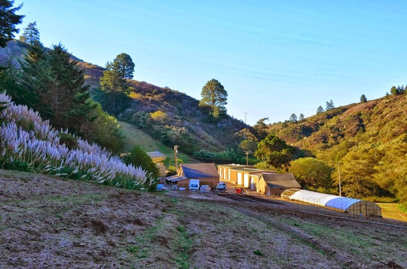 Photo of Ananda Valley Farm