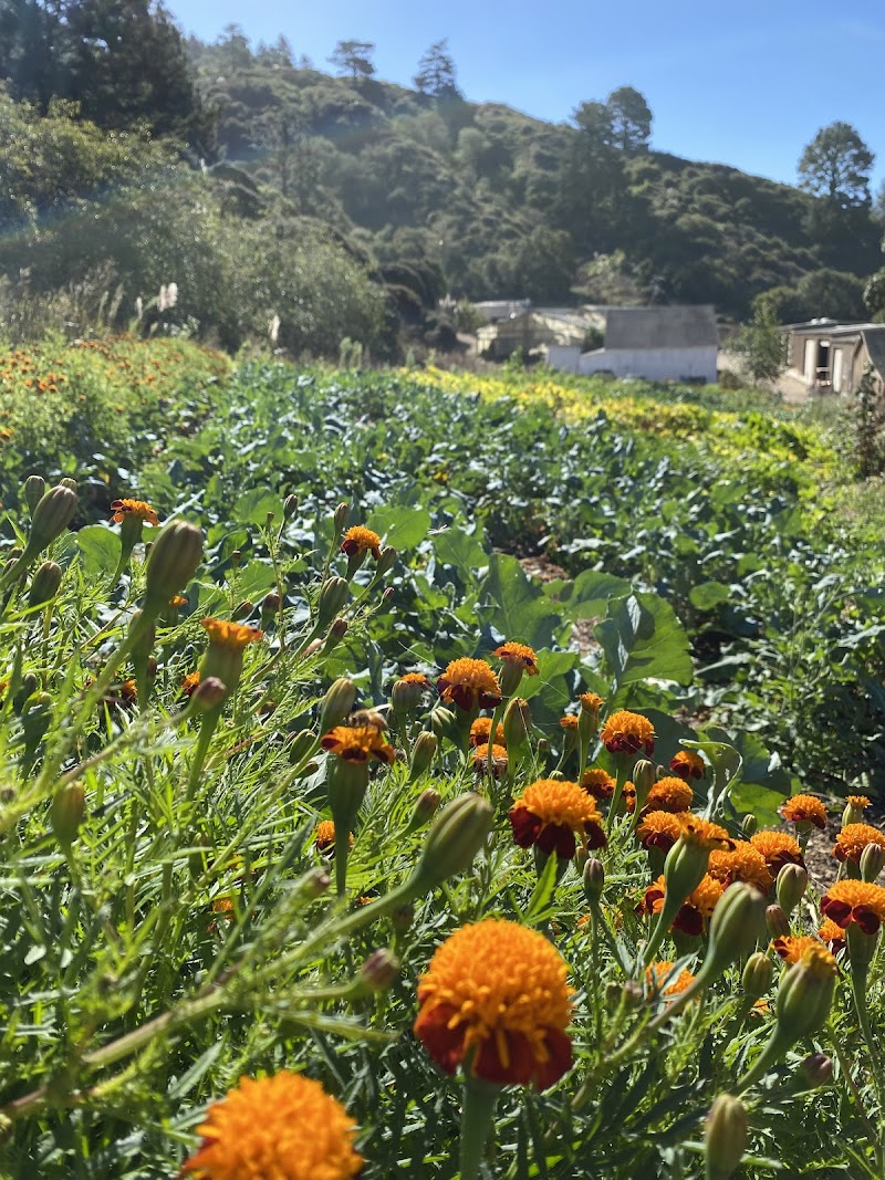 Ananda Valley Farm photo 2