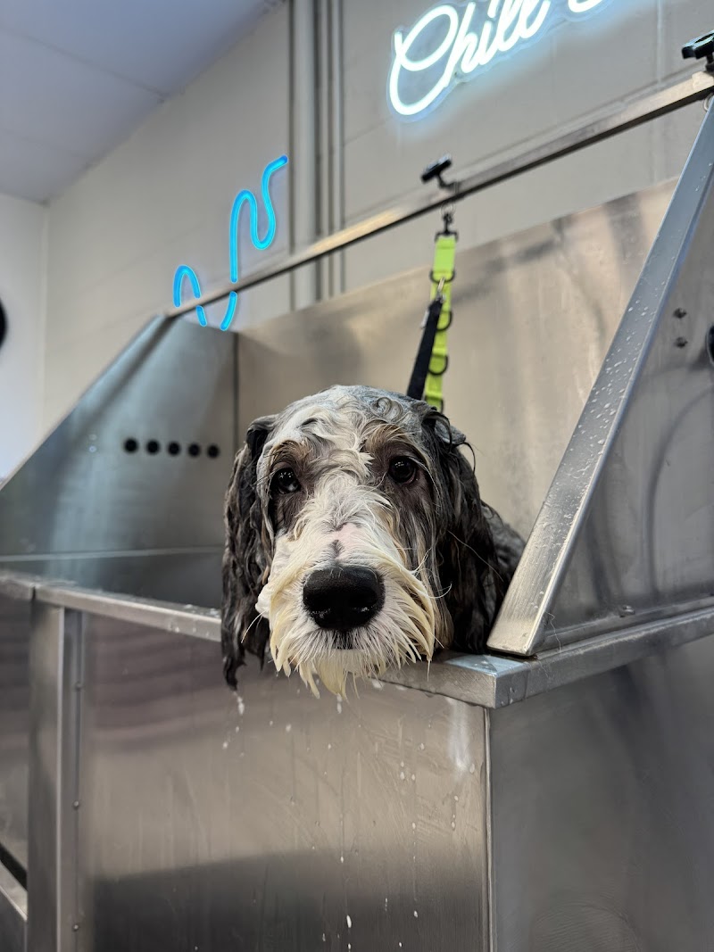 Photo of Chill Baths
