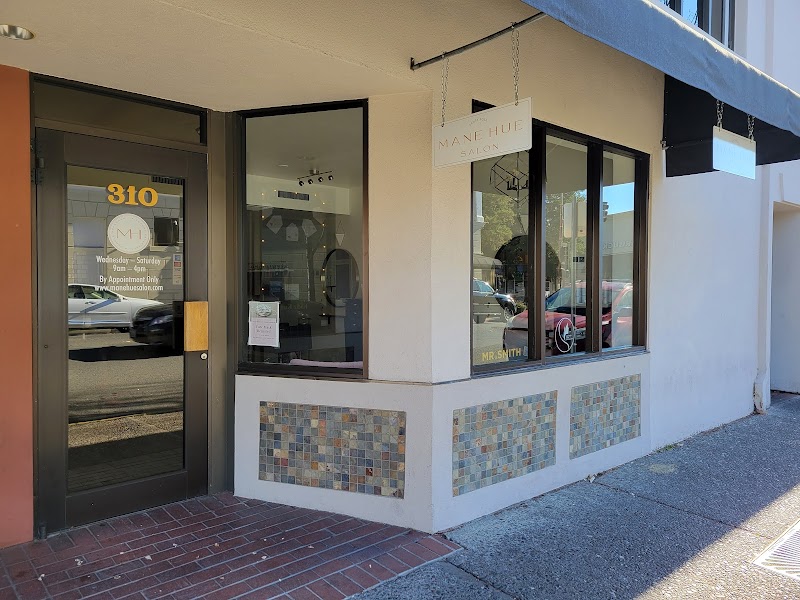 Mane Hue Salon Santa Rosa photo 3